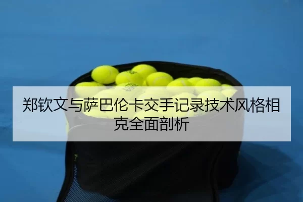 zheng-qin-wen-yu-sa-ba-lun-ka-jiao-shou-ji-lu-ji-shu-feng-ge-xiang-ke-quan-mian-pou-xi-3-186.jpg
