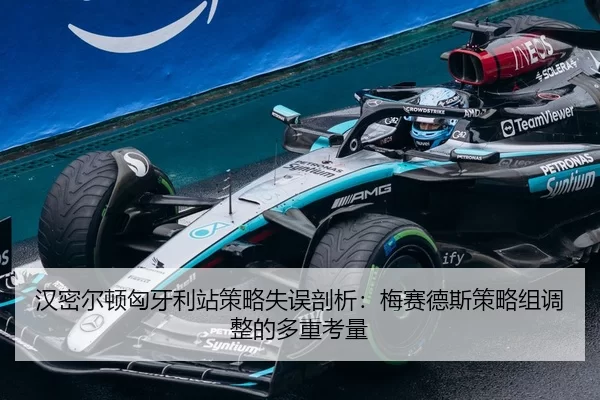 han-mi-er-dun-xiong-ya-li-zhan-ce-lve-shi-wu-pou-xi-mei-sai-de-si-ce-lve-zu-tiao-zheng-de-duo-zhong-kao-liang-3-340.jpg